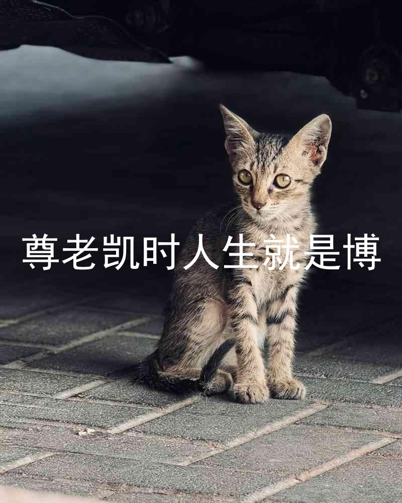 尊老凯时人生就是博