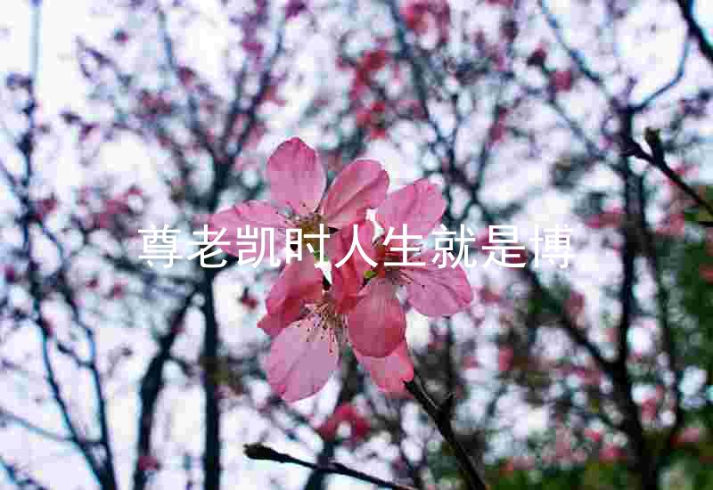 尊老凯时人生就是博