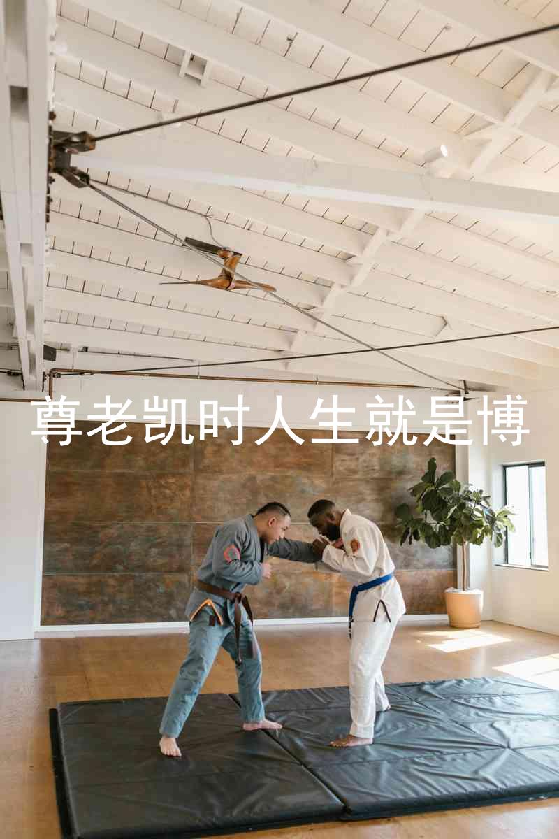尊老凯时人生就是博