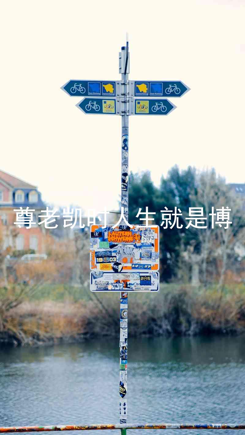 尊老凯时人生就是博