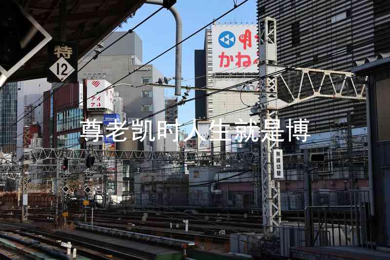 尊老凯时人生就是博