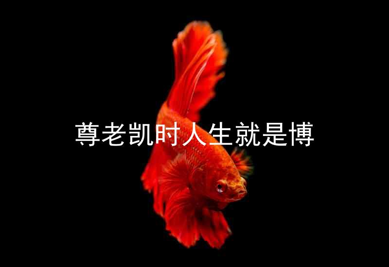 尊老凯时人生就是博