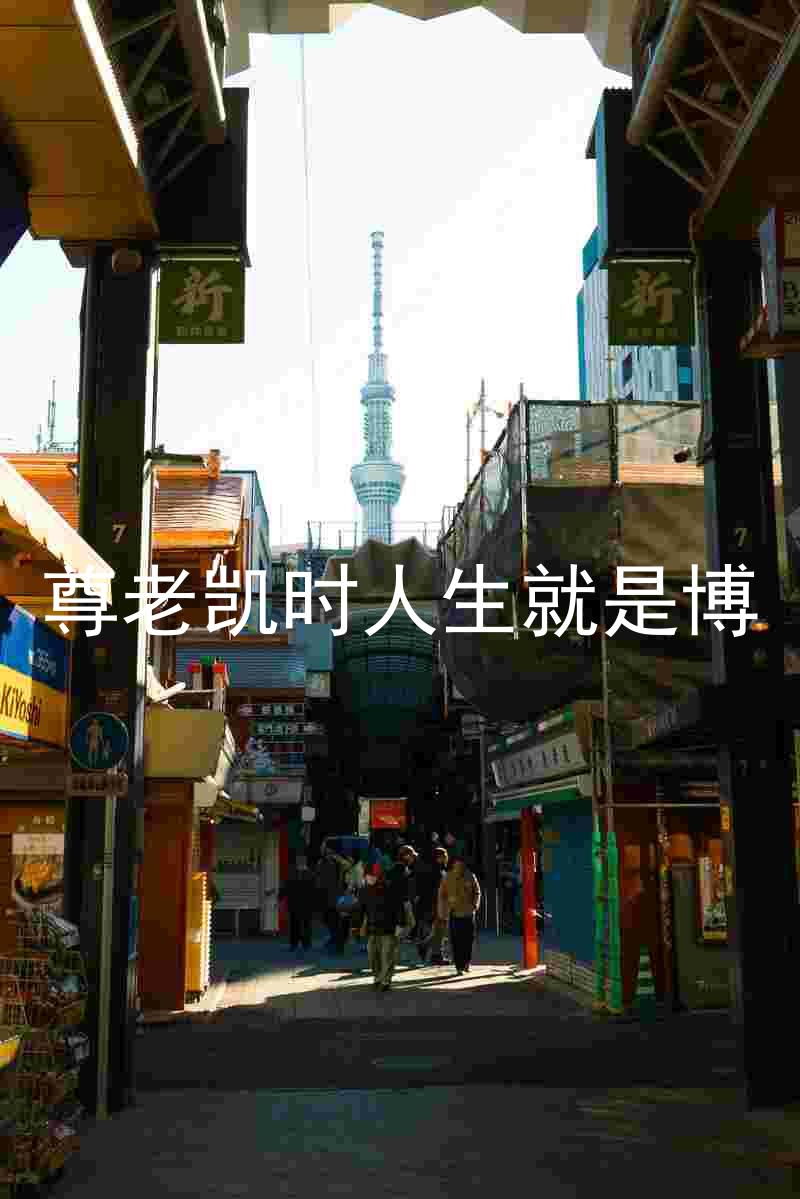 尊老凯时人生就是博