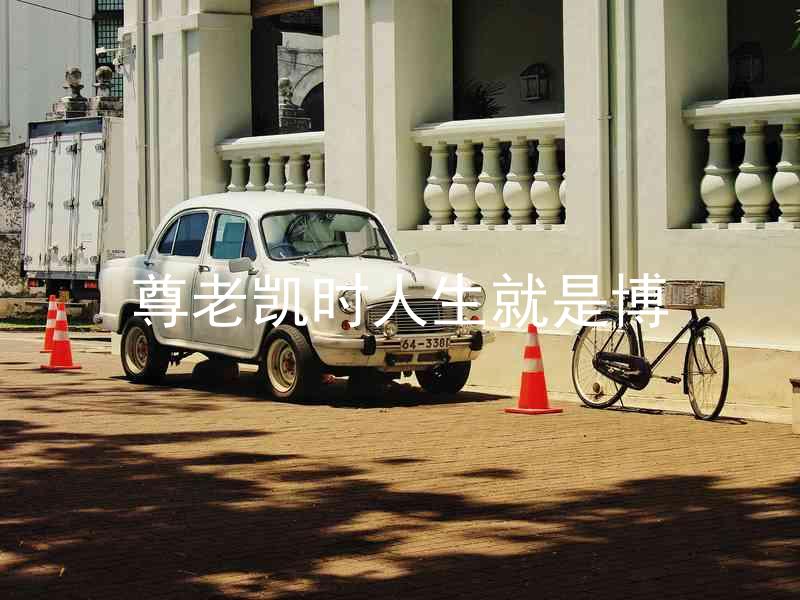尊老凯时人生就是博